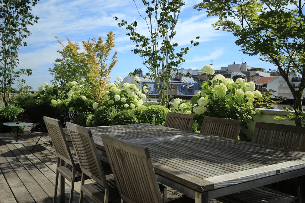 Sous le ciel de Paris — photo 13
