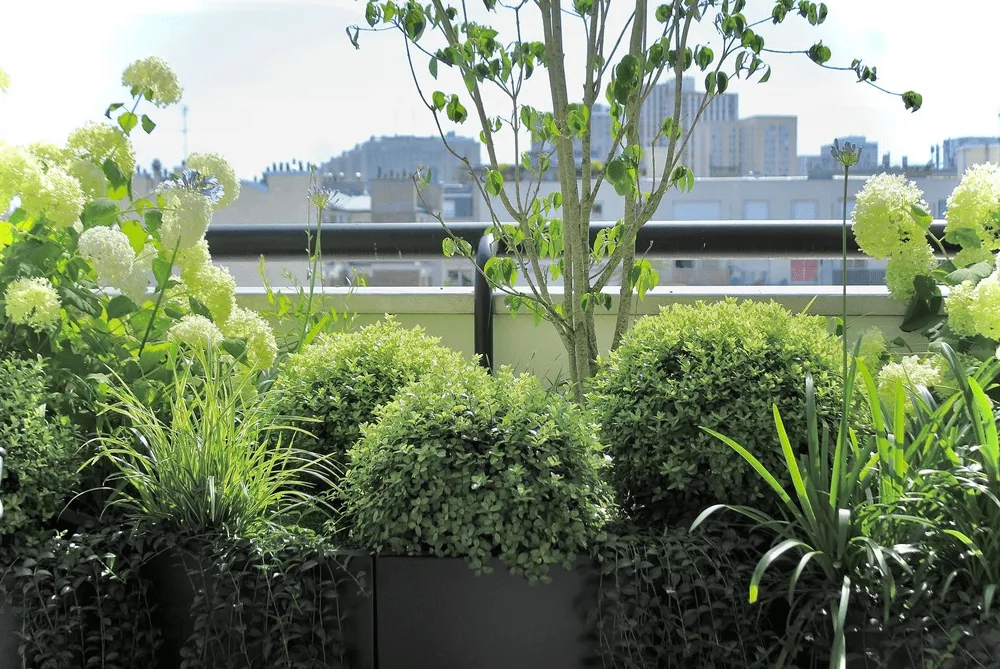 Terrasses & toits-terrasses — vue 3