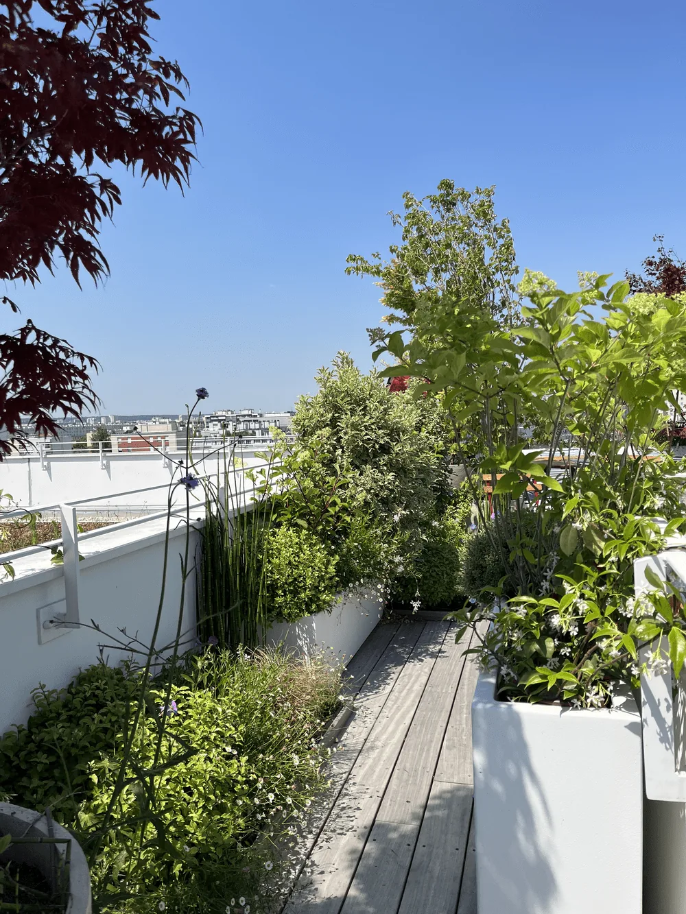 Prendre de la hauteur — photo 8