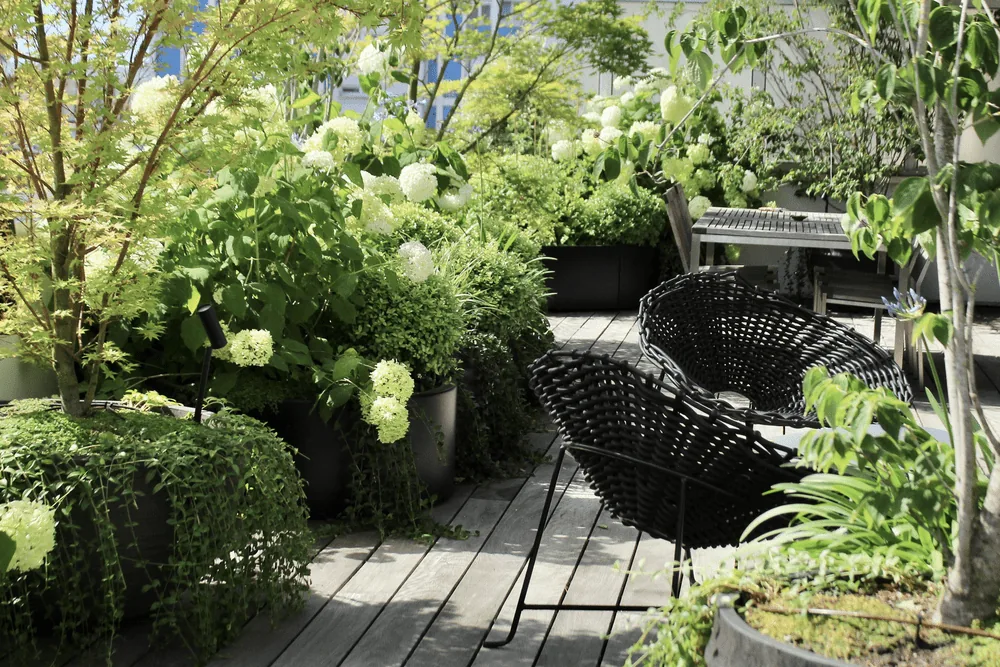 Terrasses & toits-terrasses — vue 2