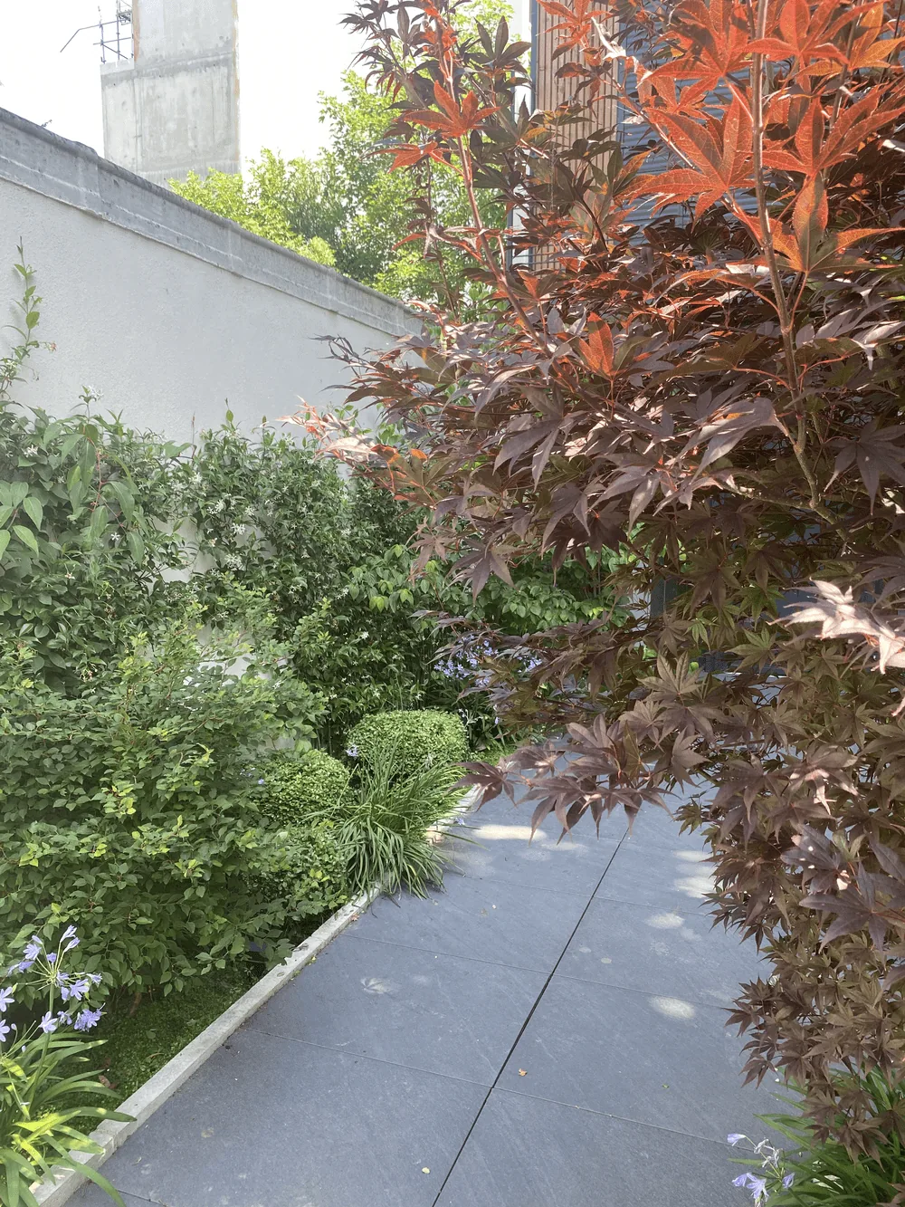 Aménagement de jardin — vue 4
