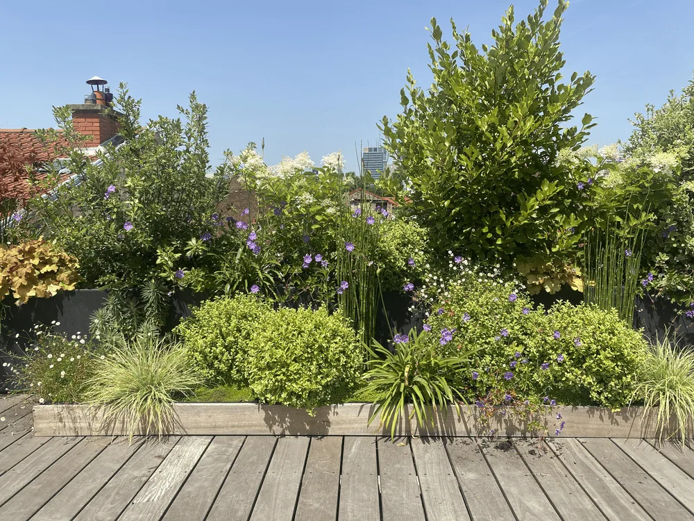 Biodiversité et bien-être dans un lieu de travail — photo 6