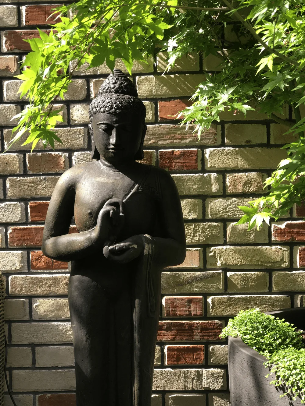 Esprit zen — photo 4