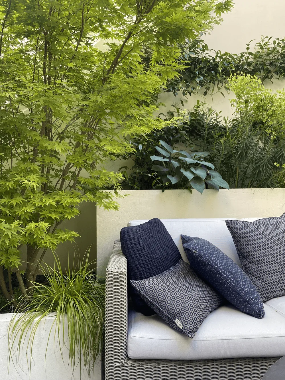 Un espace végétal au fil des saisons — photo 5