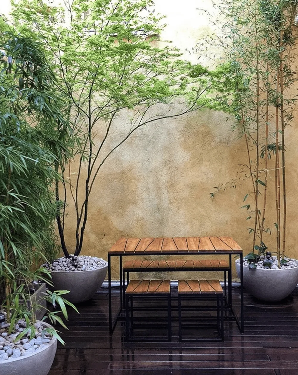 Le patio zen du Marais — photo 2