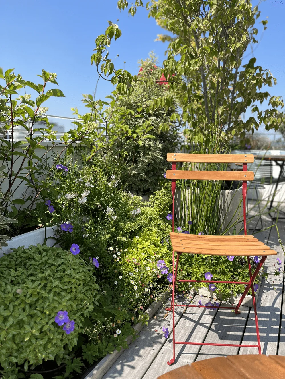 Structures & extérieur — vue 7
