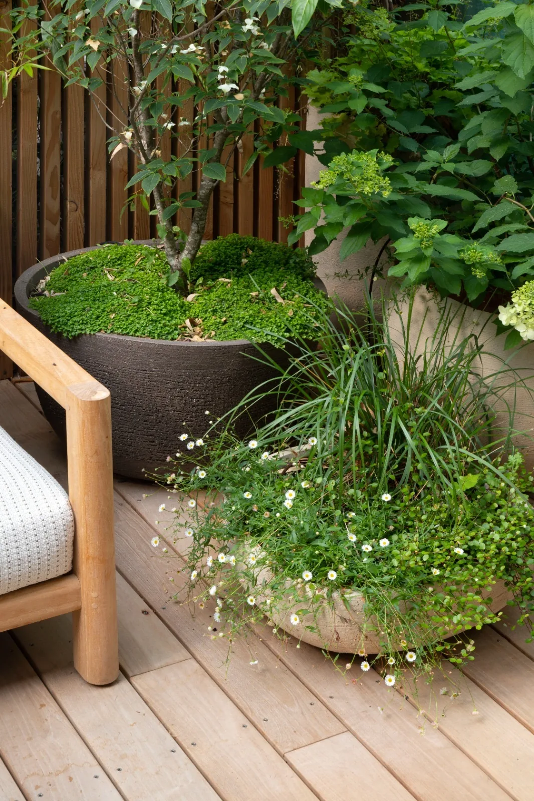 Décors et végétation multiples — photo 7