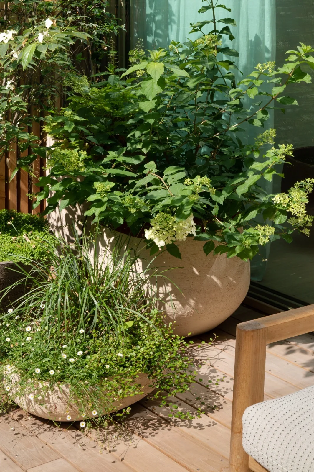 Décors et végétation multiples — photo 8