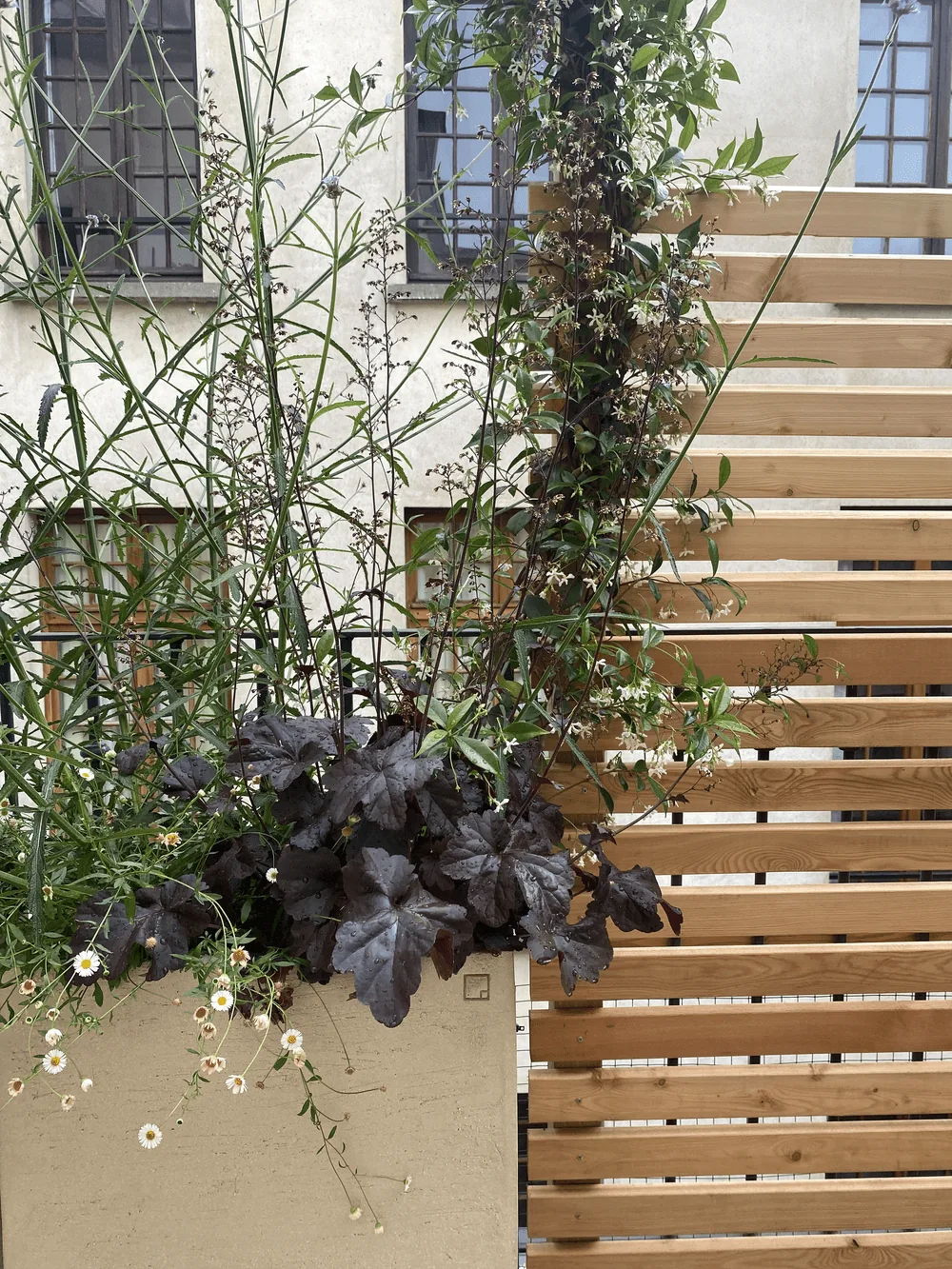 Terrasse au cœur du Marais, une invitation à la détente — photo 8
