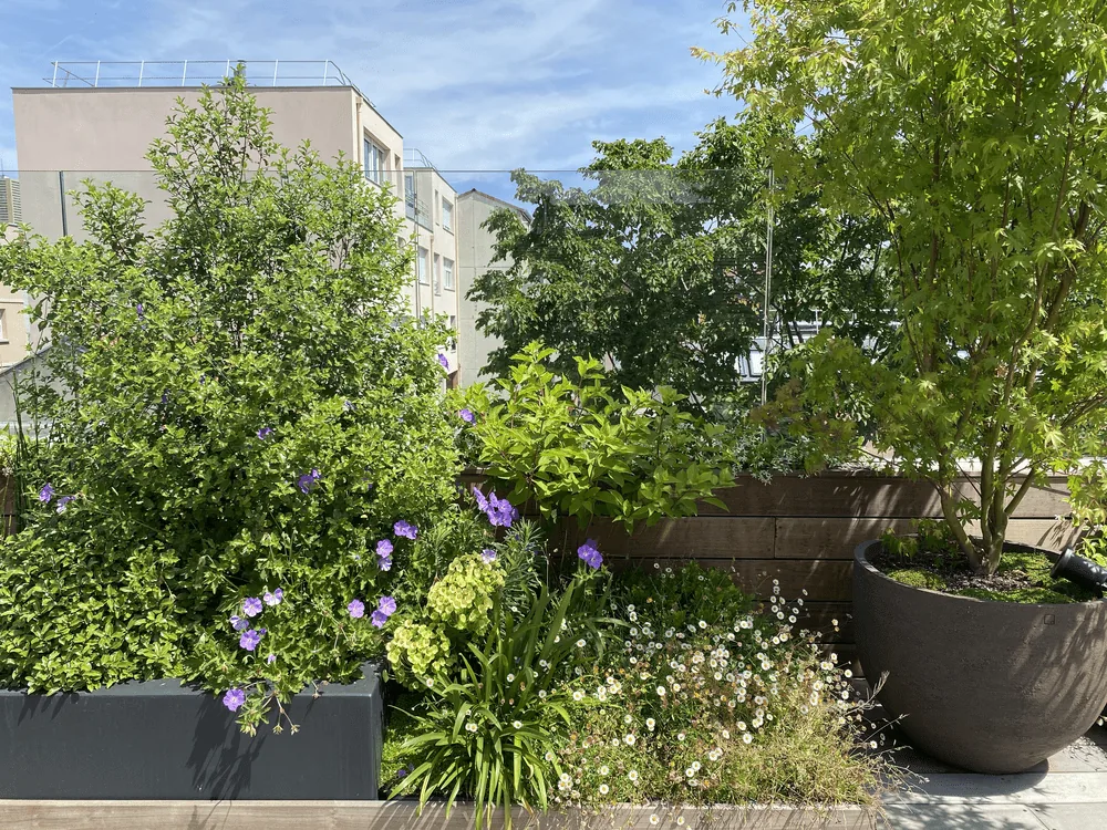 Biodiversité et bien-être dans un lieu de travail — photo 4