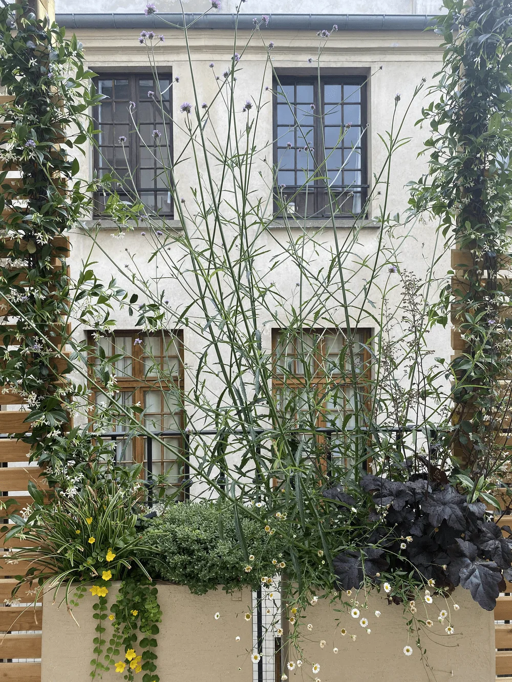 Terrasse au cœur du Marais, une invitation à la détente — photo 9