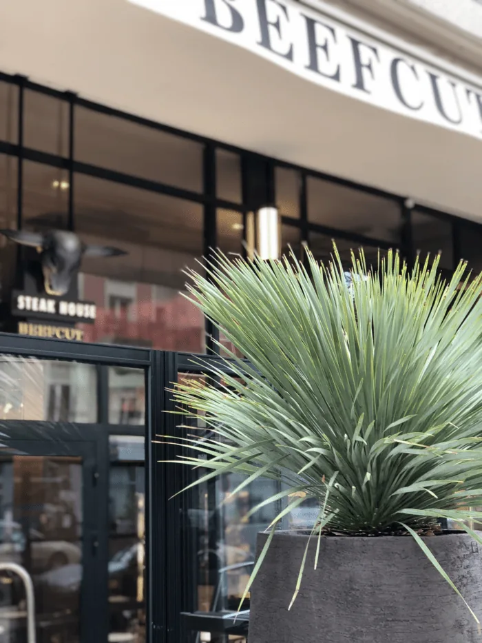 Terrasse intime dans un grand restaurant — photo 4