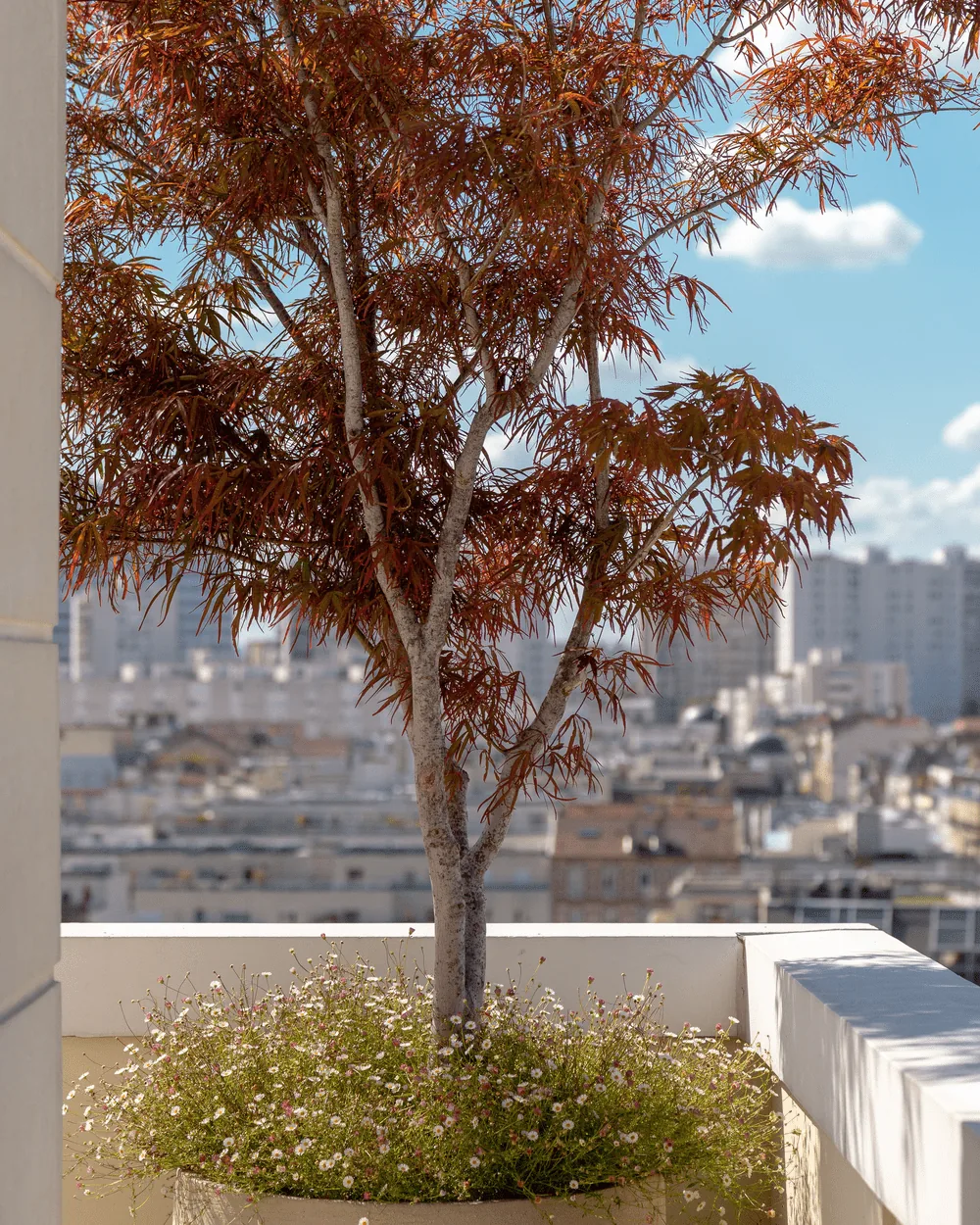 Vue sur les toits de Paris — photo 2
